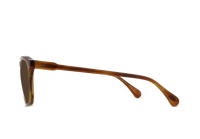 Wiley 56 - Santa Fe Tortoise/Vibrant Brown Polarized