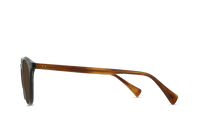 Basq 50 - Pinyon Grove - Vibrant Brown Polarized