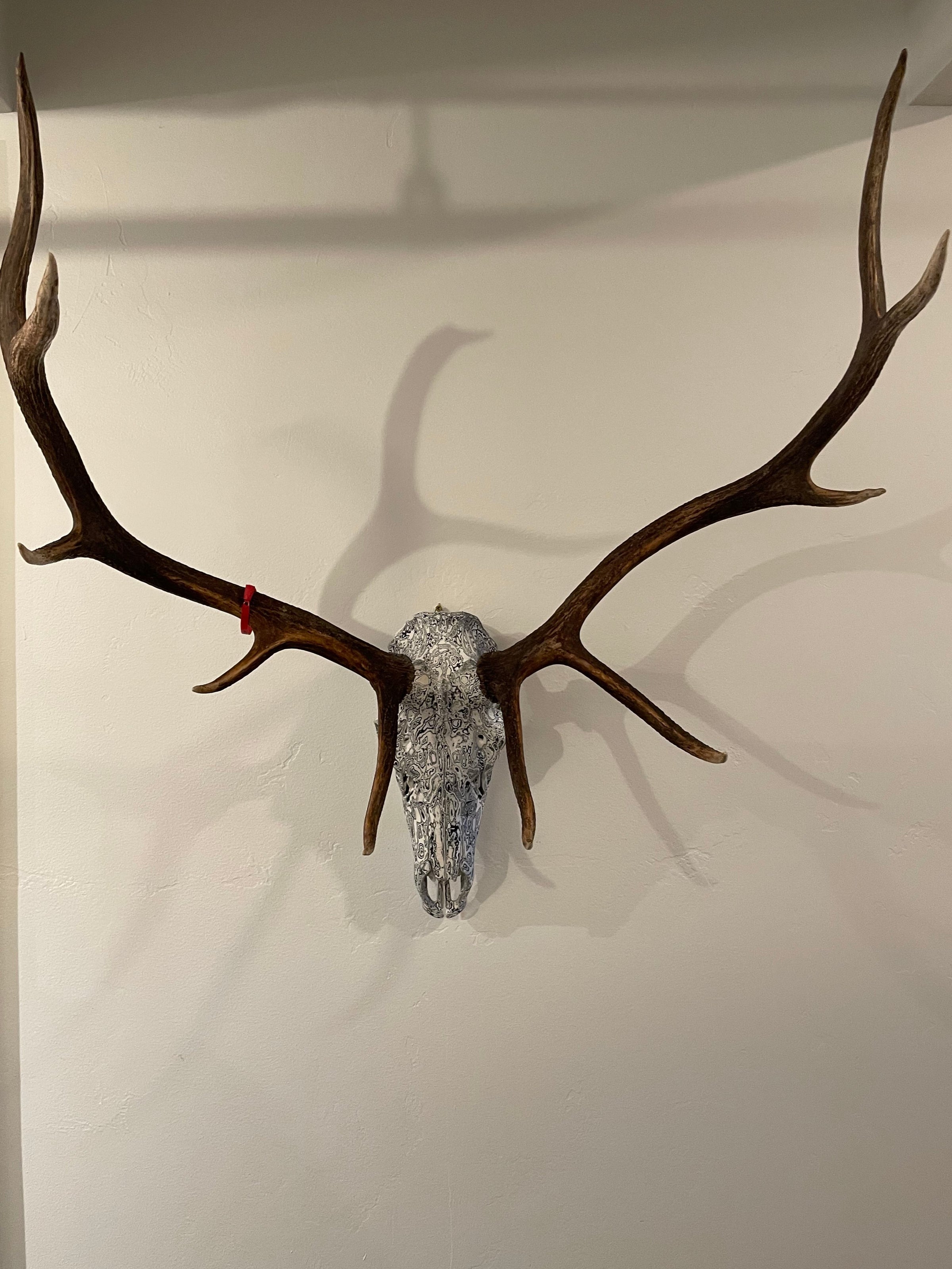 Psychedelic Painted European Elk Mount