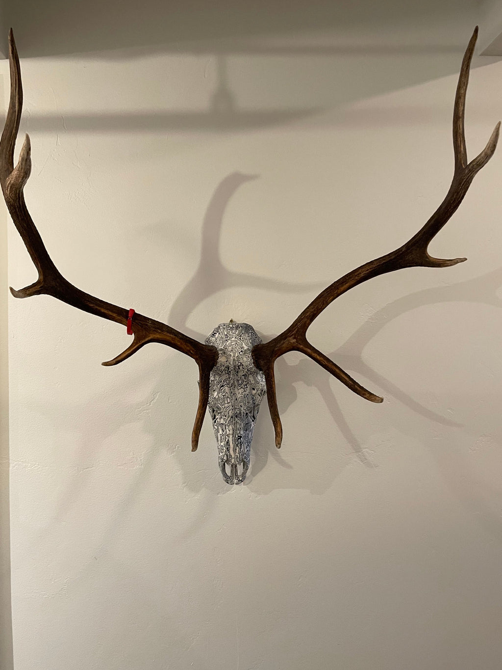 Psychedelic Painted European Elk Mount – Wild Cargo, image size:1024x1365