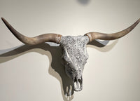 Highland Scottish Cow European Mount