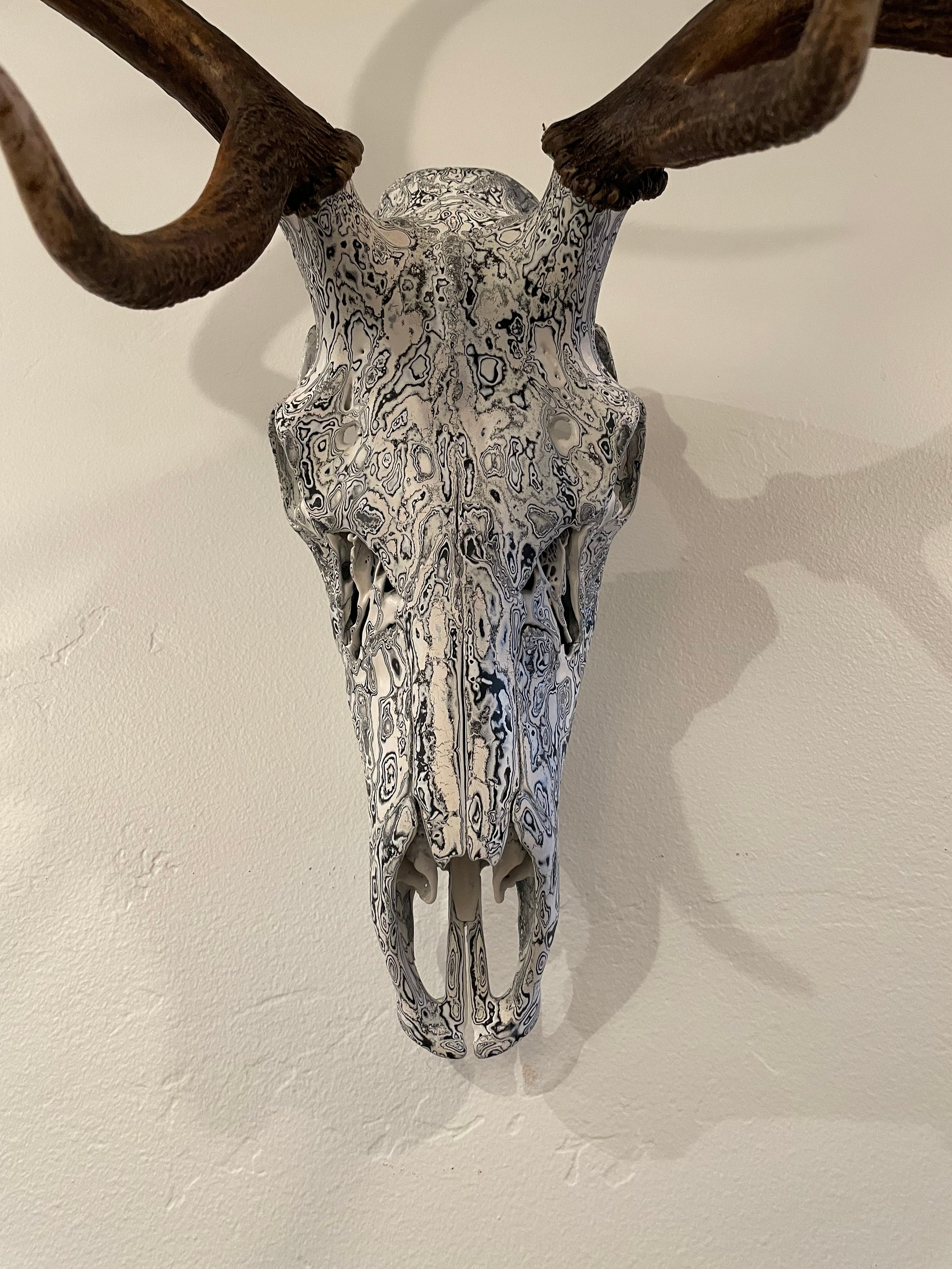 Psychedelic Painted European Elk Mount