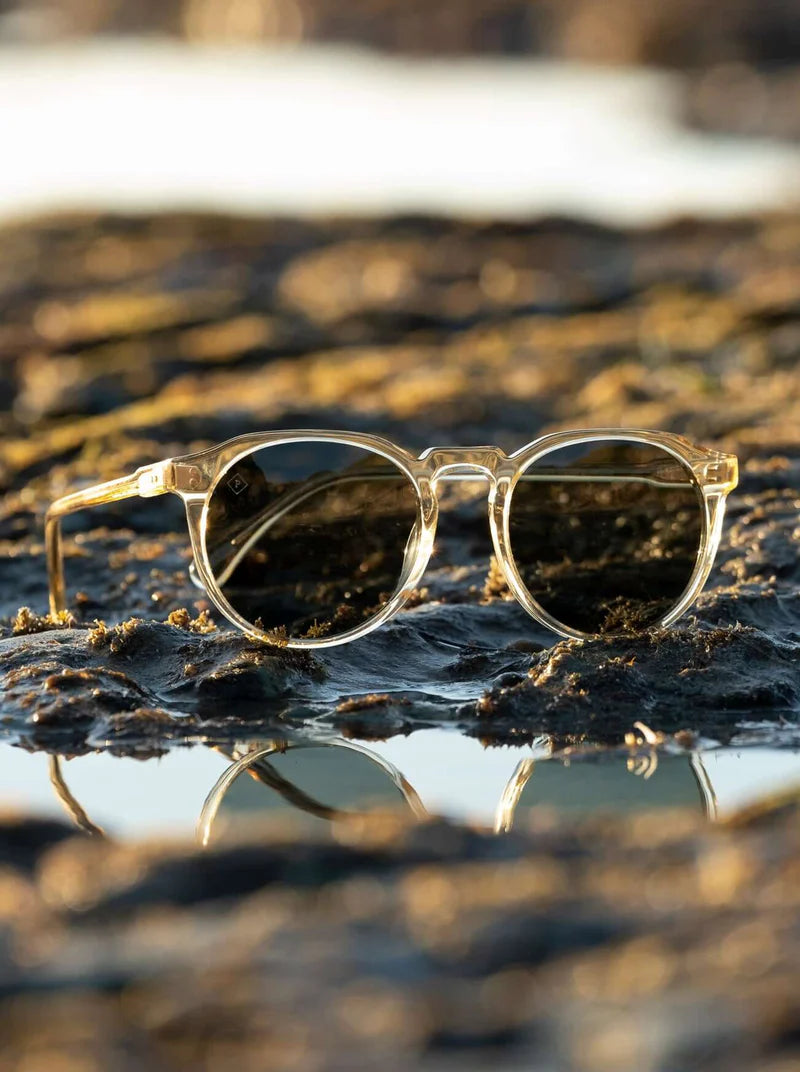 Remmy 52 - Champagne Crystal/Green Polarized