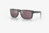 Holbrook - Steel - Prizm Daily Polar