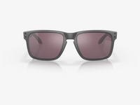 Holbrook - Steel - Prizm Daily Polar