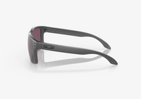 Holbrook - Steel - Prizm Daily Polar