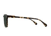 Wiley 54 - Brindle Tortoise/Green Polorized