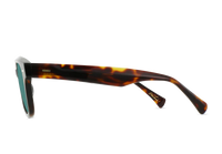 Carby 53 - Kola Tortoise - Pacifica