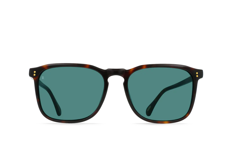 Wiley 56 - Kola Tortoise/Pacifica