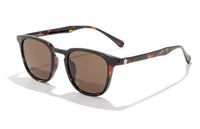 Tango - Totoise Amber