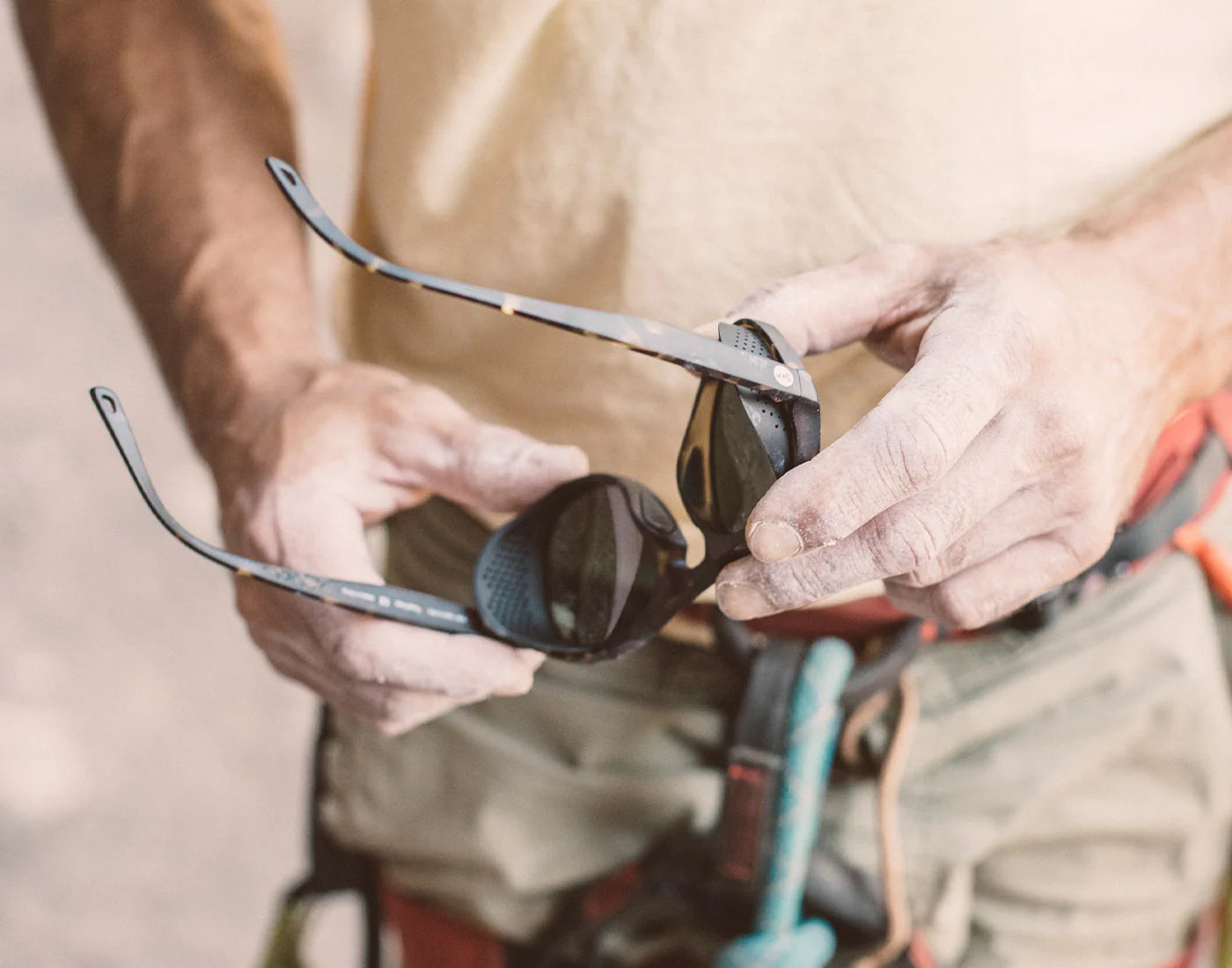 Treeline - Tortoise Forest