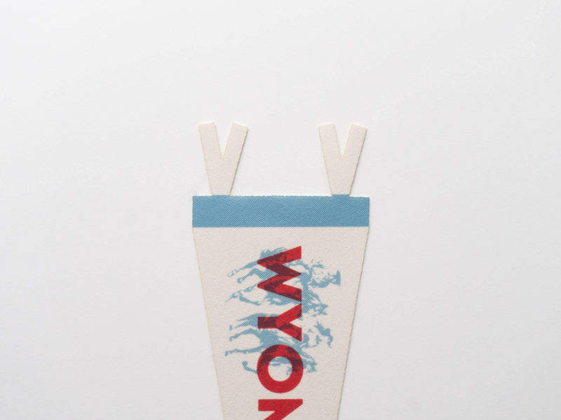 Wyoming Felt Pennant