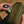 CIVIC Access Pouch 2L