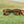 Targa - Pine Bronze sunglasses held up outdoors