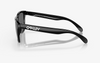 Frogskins - Polished Black - Prizm Black