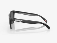 Frogskins - Matte Black - Prizm Black Polarized