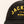 Wild Cargo Jackson Foamy Trucker