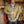 Switch Insulated Jacket