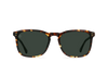 Wiley 54 - Brindle Tortoise/Green Polorized