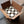 Teakwood & Tobacco - 7.2 oz Standard Soy Candle